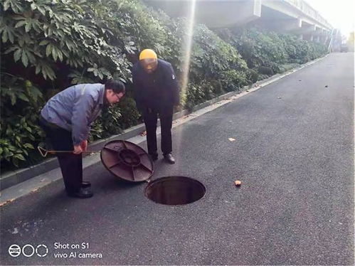 江苏海安凤山村 以系统思维全面推进水污染治理，守护碧水清流