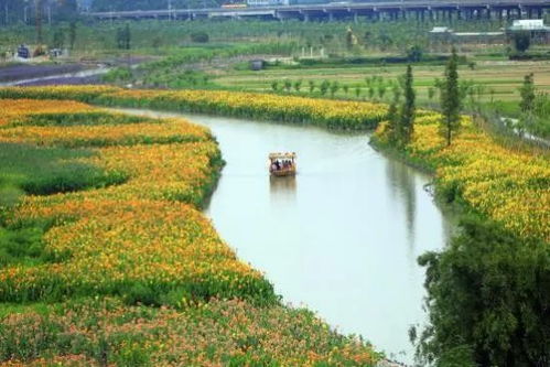 从“世界工厂”到“生态绿城” 东莞水污染治理的时代答卷