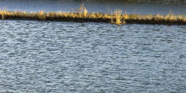 河南沈丘 源头亮剑治理水污染，碧水清波重现古沈丘