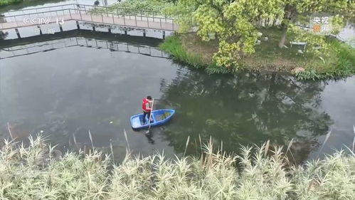 新朋友落户“浙”里 水污染治理背后的绿色转型故事