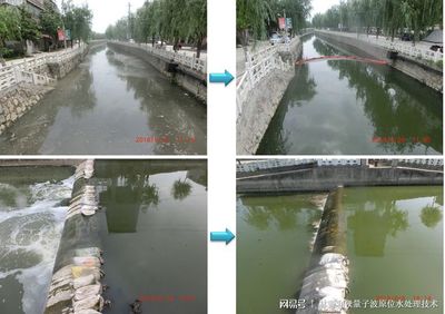 守护生命之源 世界地球日聚焦水污染治理