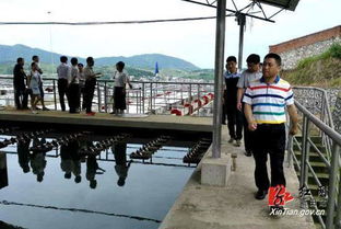 新田县人大常委会开展《水污染防治法》执法检查，推动水污染治理工作走深走实