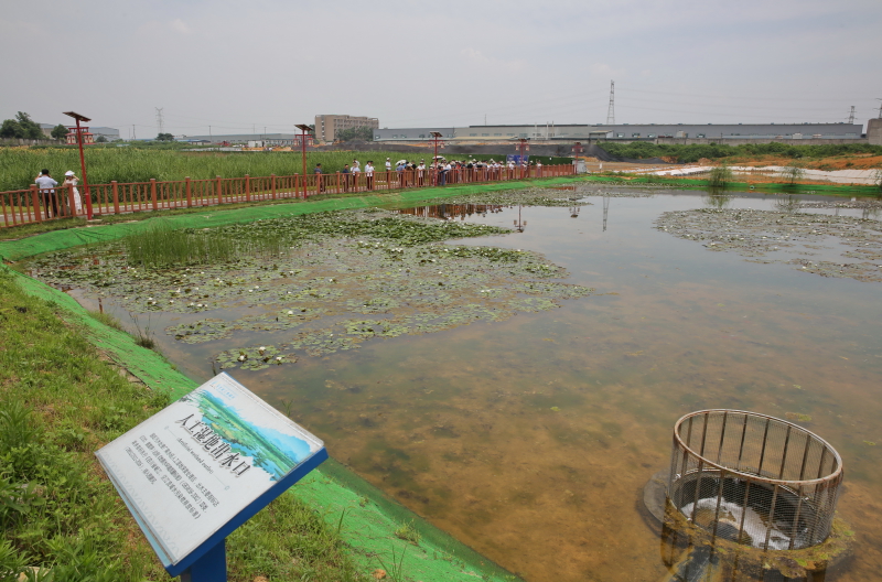 市人大常委会开展水污染防治“一法两条例”执法检查_日照市水污染治理