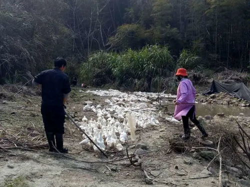 强化水污染治理 打造王台碧水蓝天