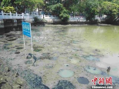 力度升级！生态环境部出“狠招”治理水污染