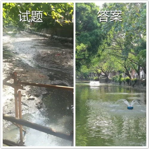 叮！这是东莞水污染治理的答卷，请您阅卷