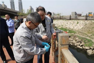 哈尔滨市人大常委会持续推进水污染治理工作的实践与展望